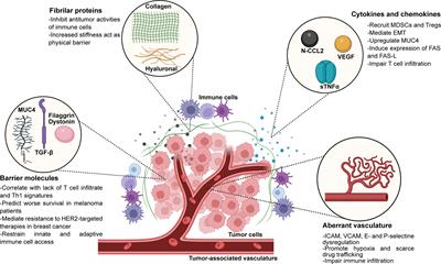 Cancer immune exclusion: breaking the barricade for a successful immunotherapy